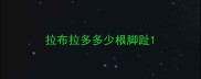 拉布拉多多少根脚趾