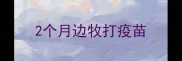 2个月边牧打疫苗