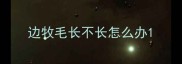 边牧毛长不长怎么办