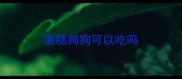 蛋糕狗狗可以吃吗