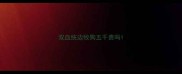 双血统边牧狗五千贵吗