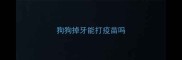 狗狗掉牙能打疫苗吗