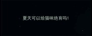 夏天可以给猫咪绝育吗
