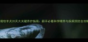 边境牧羊犬20天大关键养护指南新手必看科学喂养与疾病预防全攻略