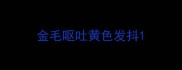 金毛呕吐黄色发抖