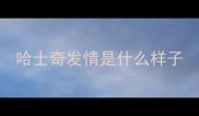 哈士奇发情是什么样子