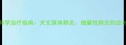 狗狗肺炎症状识别与科学治疗指南犬支原体肺炎细菌性肺炎的应对方法及家庭护理要点