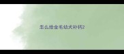 怎么给金毛幼犬补钙
