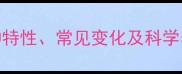 拉布拉多毛色会变吗品种特性常见变化及科学养护指南附高清对比图