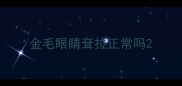 金毛眼睛耷拉正常吗