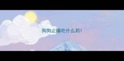 狗狗止痛吃什么药