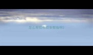 怎么帮拉布拉多剪指甲