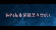 狗狗益生菌哪里有卖的