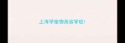 上海学宠物美容学校
