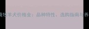 长沙边境牧羊犬价格全品种特性选购指南与养护建议