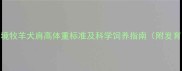 三个月边境牧羊犬肩高体重标准及科学饲养指南附发育曲线图