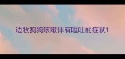 边牧狗狗咳嗽伴有呕吐的症状