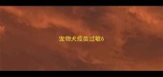 宠物犬疫苗过敏6