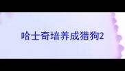哈士奇培养成猎狗