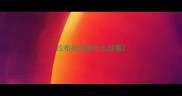 拉布拉多串什么好看