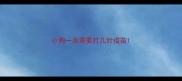 小狗一共需要打几针疫苗