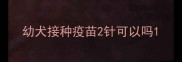 幼犬接种疫苗2针可以吗