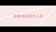 宠物5联疫苗怎么样
