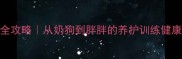 拉布拉多幼犬成年狗全攻略从奶狗到胖胖的养护训练健康指南附成长对比图