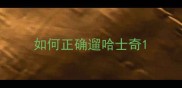 如何正确遛哈士奇