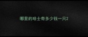 哪里的哈士奇多少钱一只