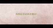 狗狗验孕试纸在哪买