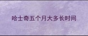 哈士奇五个月大多长时间
