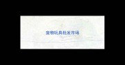 宠物玩具批发市场