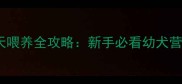 哈士奇40天喂养全攻略新手必看幼犬营养指南