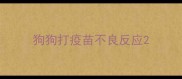 狗狗打疫苗不良反应