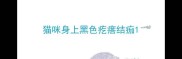猫咪身上黑色疙瘩结痂
