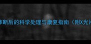 狗狗腿摔断后的科学处理与康复指南附X光片解读