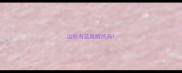 边牧有蓝眼睛的吗