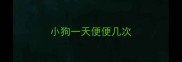 小狗一天便便几次