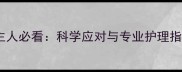 边牧掉毛季来袭边牧主人必看科学应对与专业护理指南附季节护理要点
