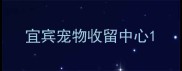 宜宾宠物收留中心