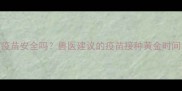 小狗晚上打疫苗安全吗兽医建议的疫苗接种黄金时间与注意事项