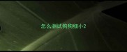 怎么测试狗狗细小