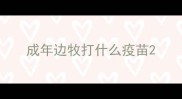 成年边牧打什么疫苗