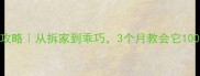 哈士奇训练攻略从拆家到乖巧3个月教会它100服从性