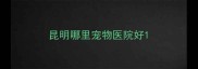 昆明哪里宠物医院好