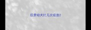 巨贵幼犬打几次疫苗