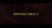 狗狗打疫苗几天能出门