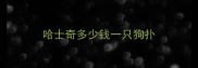 哈士奇多少钱一只狗扑