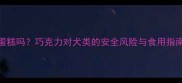 狗狗能吃巧克力蛋糕吗巧克力对犬类的安全风险与食用指南附急救措施